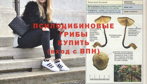 гидропоника Вяземский
