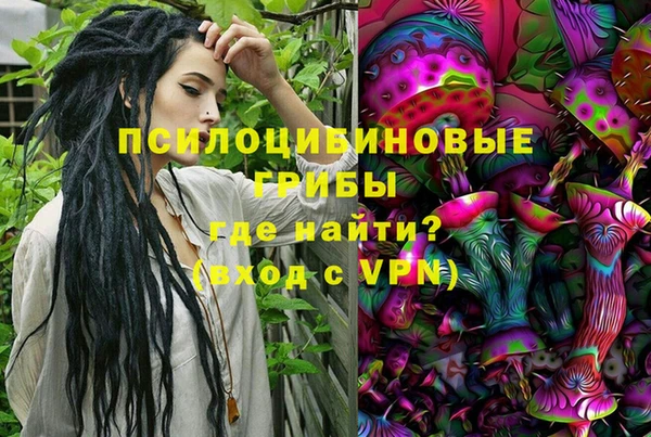 гидропоника Вяземский