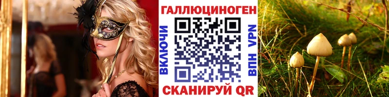купить наркоту Муром МЕГА ССЫЛКА Галлюциногенные грибы Cubensis